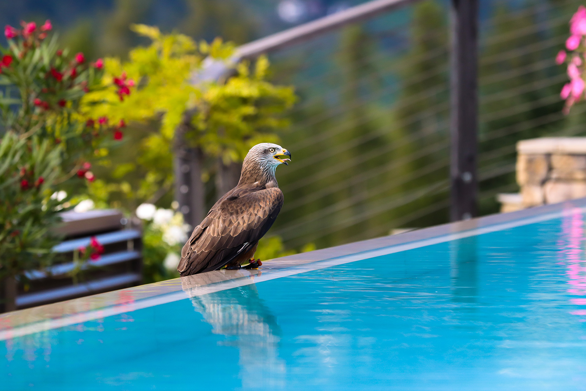 Sport-Infinity-Outdoorpool