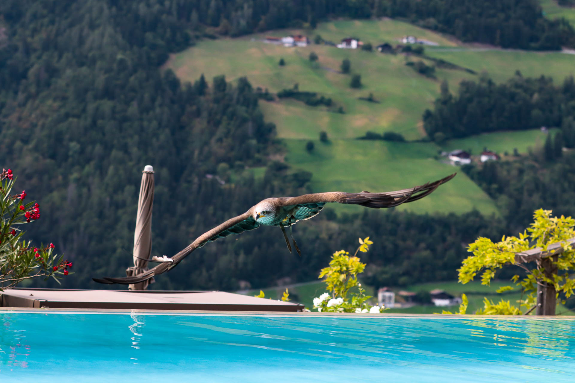 Sport-Infinity-Outdoorpool