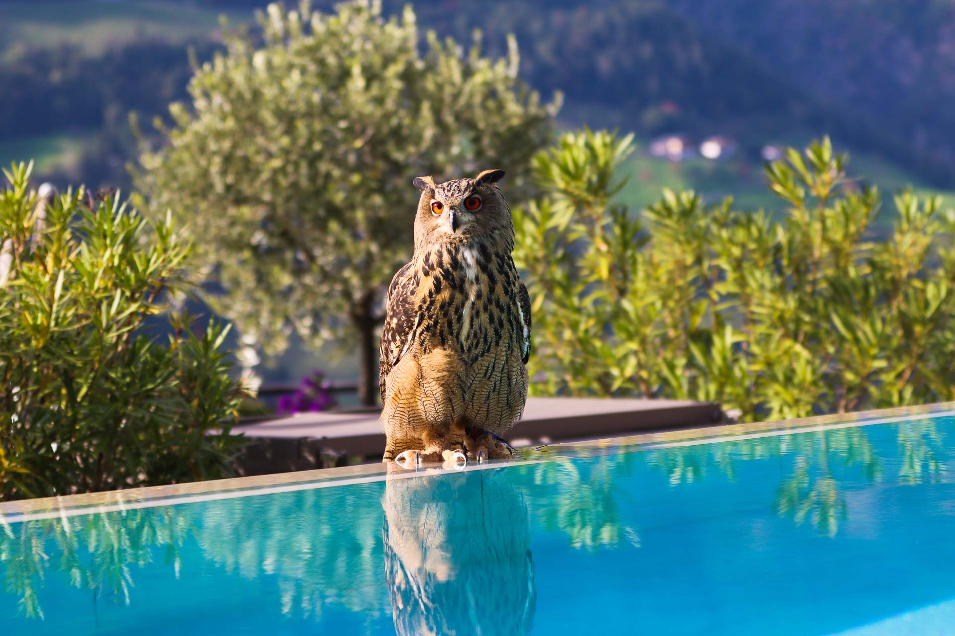 Sport-Infinity-Outdoorpool