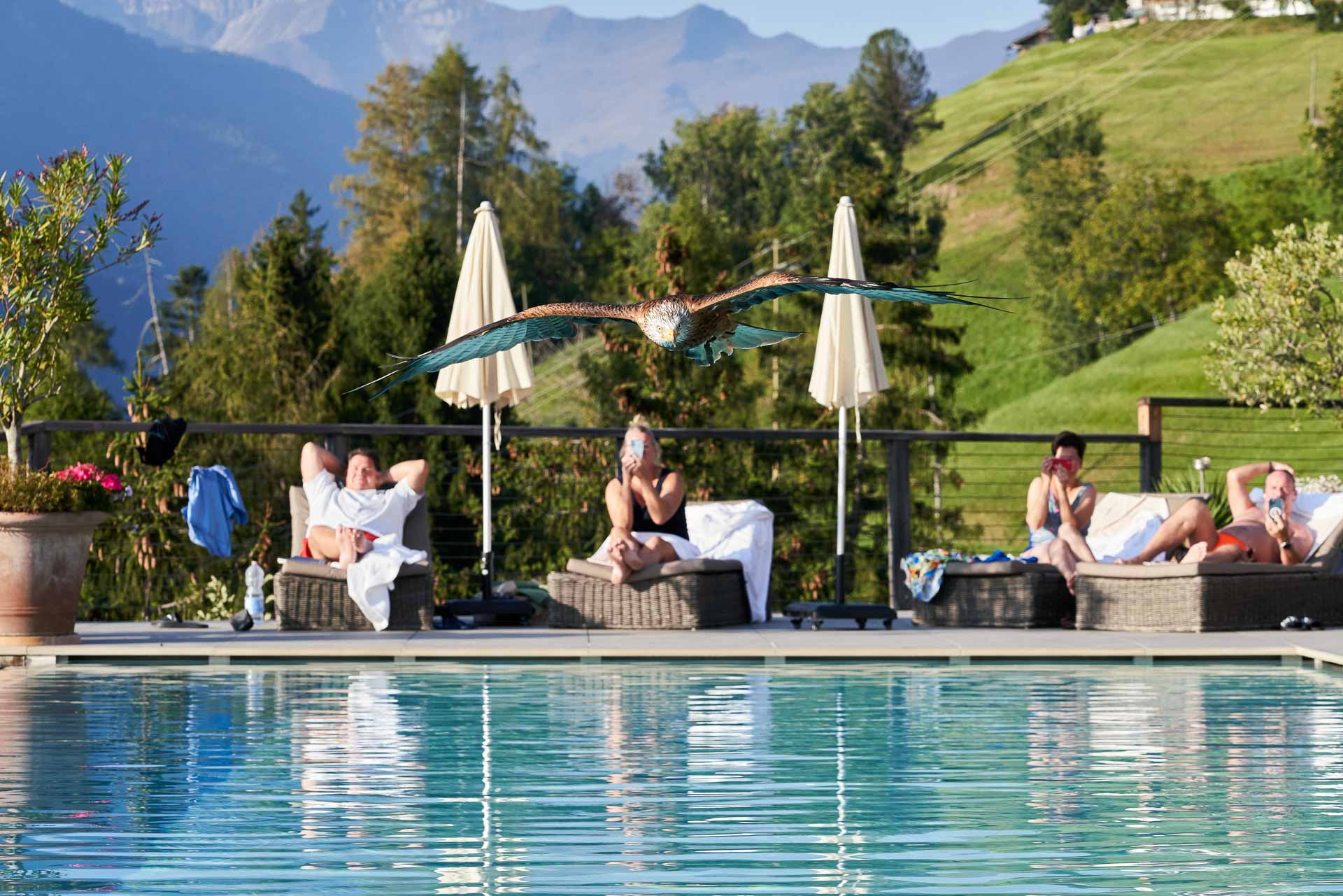 Sport-Infinity-Outdoorpool